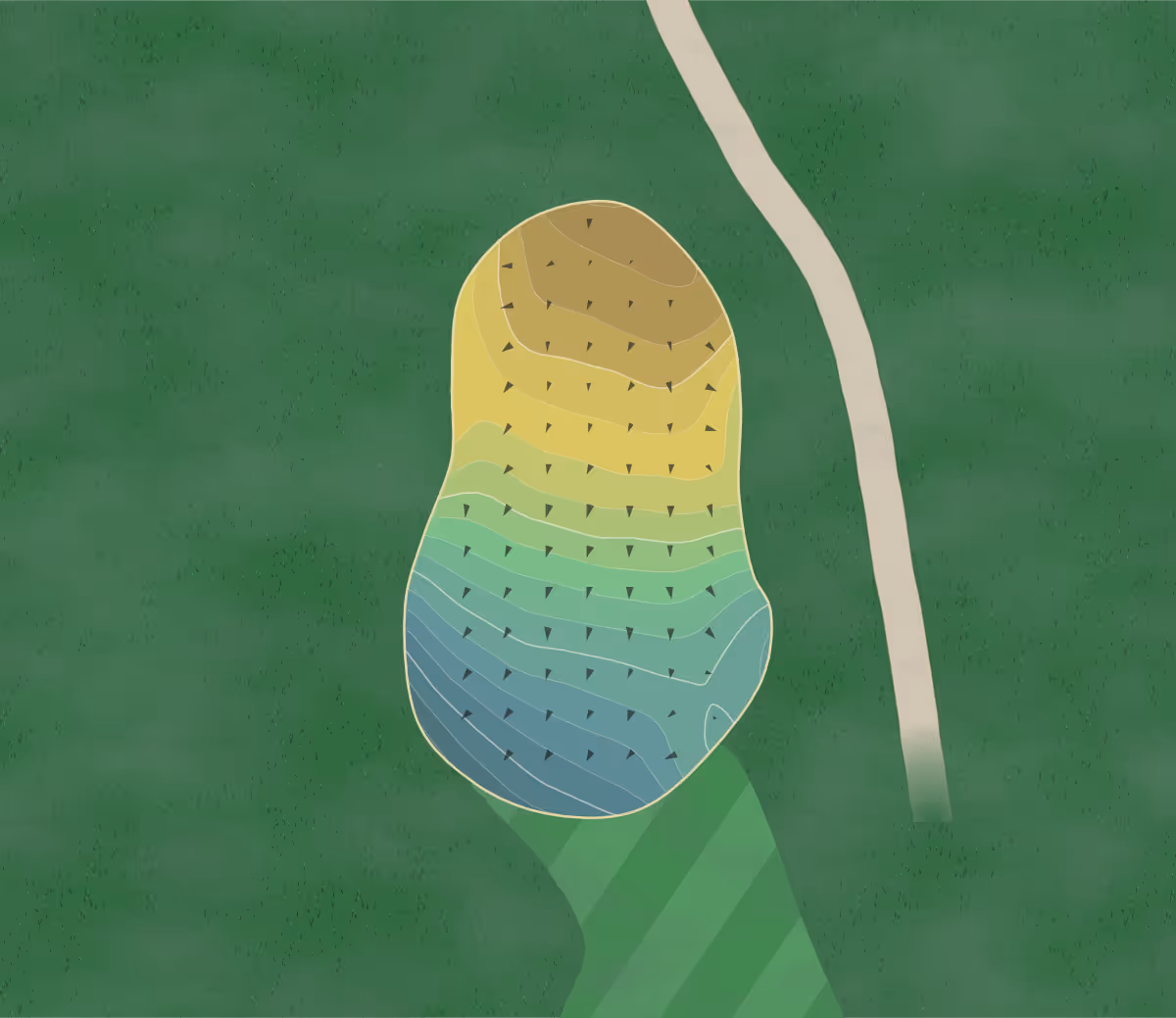 Green contour map of Shadow Lake in Penfield, New York — 261 elevation contours at a 3-inch interval with fall-line arrows, traced from 1-meter lidar