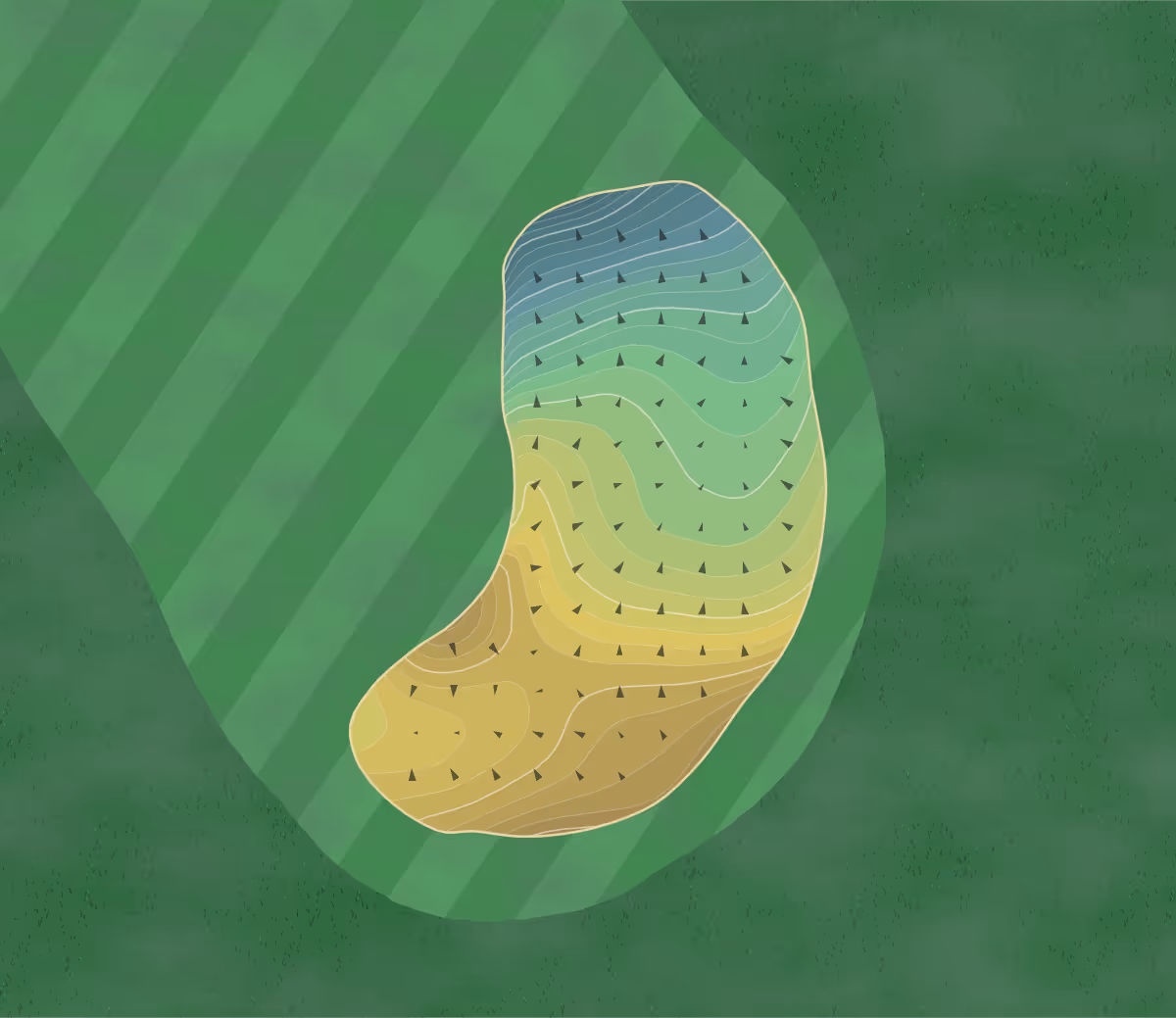 Green contour map of Shady Canyon in Irvine, California — 388 elevation contours at a 3-inch interval with fall-line arrows, traced from 1-meter lidar