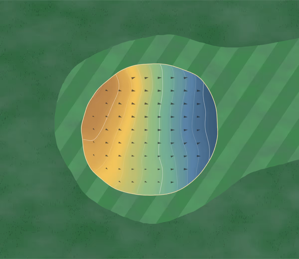 Green contour map of Shamrock in Corcoran, Minnesota — 107 elevation contours at a 3-inch interval with fall-line arrows, traced from 1-meter lidar