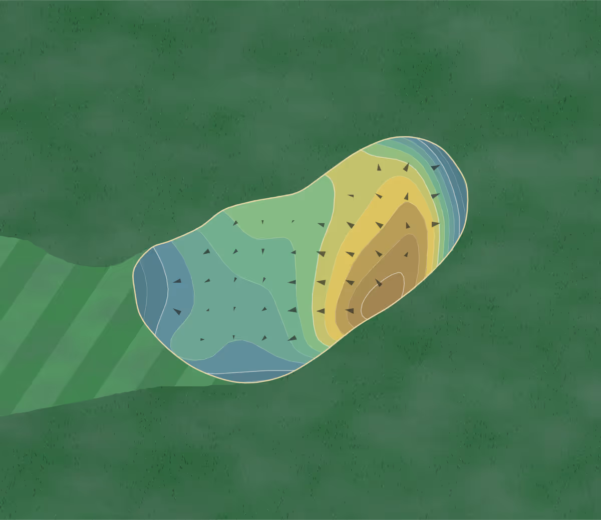 Green contour map of Shamrock in St Anne, Illinois — 199 elevation contours at a 3-inch interval with fall-line arrows, traced from 1-meter lidar