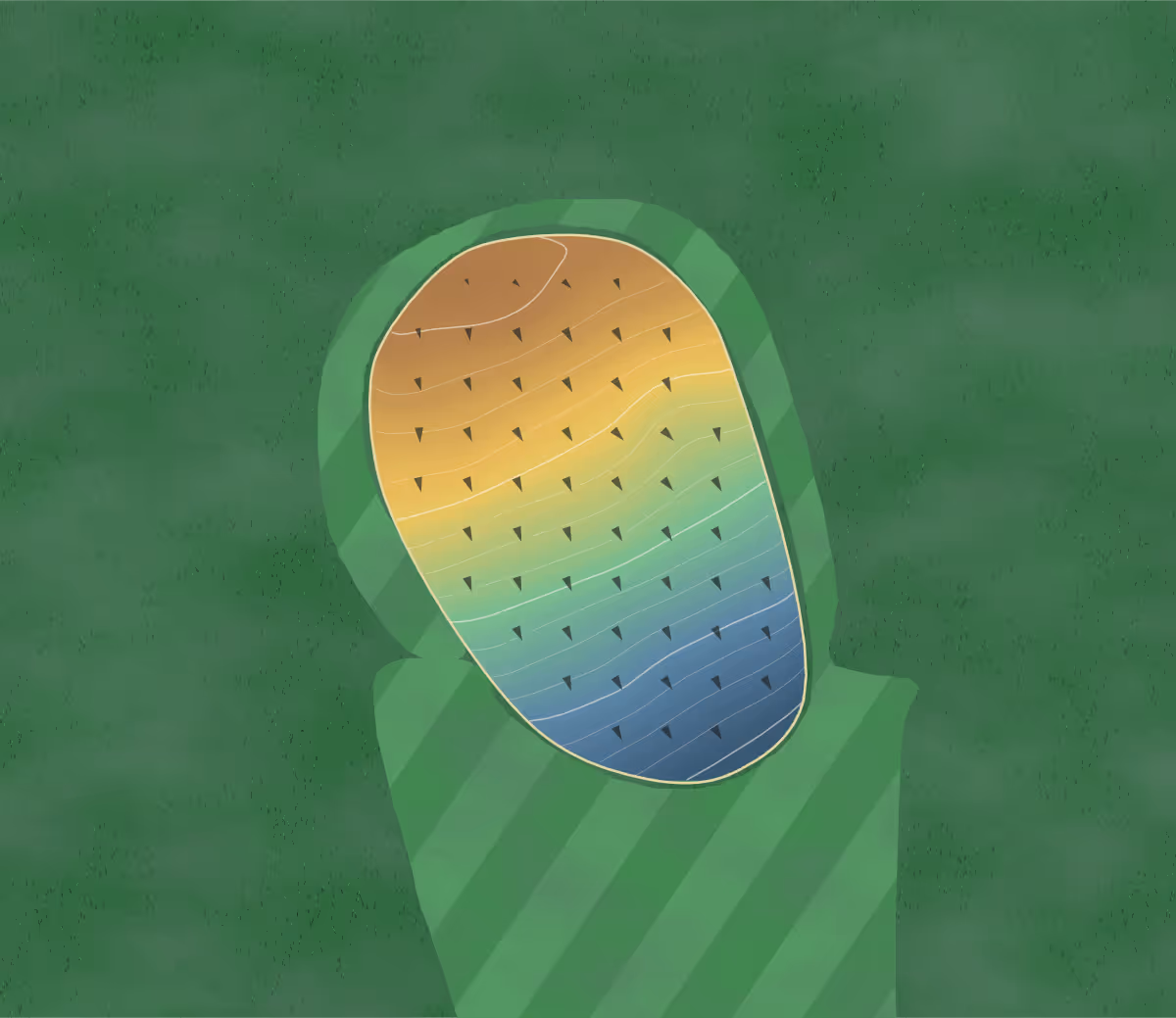 Green contour map of Shamrock Hills in Holland, New York: 142 elevation contours at a 3-inch interval with fall-line arrows, traced from 1-meter lidar