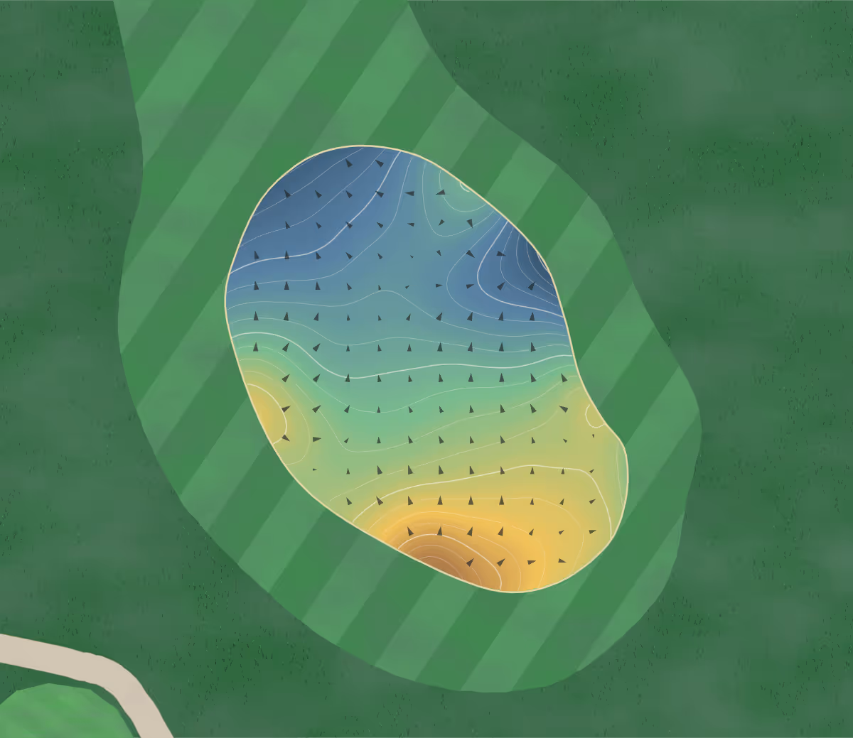 Green contour map of Shandon in Lower Hutt, New Zealand — 198 elevation contours at a 8-centimeter interval with fall-line arrows, traced from 1-meter lidar