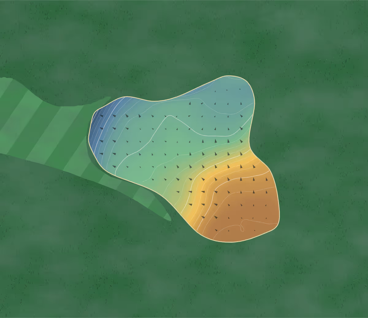 Green contour map of Shandon Park in Belfast, Northern Ireland: 167 elevation contours at a 8-centimeter interval with fall-line arrows, traced from 1-meter lidar