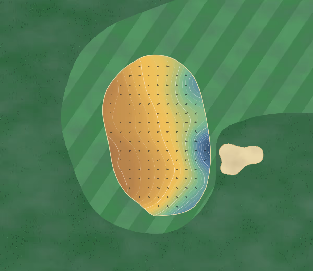 Green contour map of Shannon in Shannon Ind. Est, Ireland: 219 elevation contours at a 8-centimeter interval with fall-line arrows, traced from 1-meter lidar