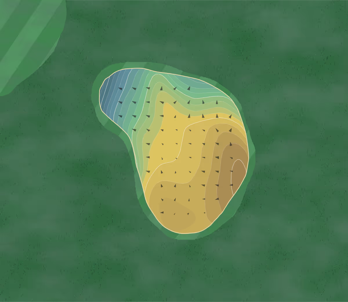 Green contour map of Shawano Lake in Shawano, Wisconsin — 175 elevation contours at a 3-inch interval with fall-line arrows, traced from 1-meter lidar