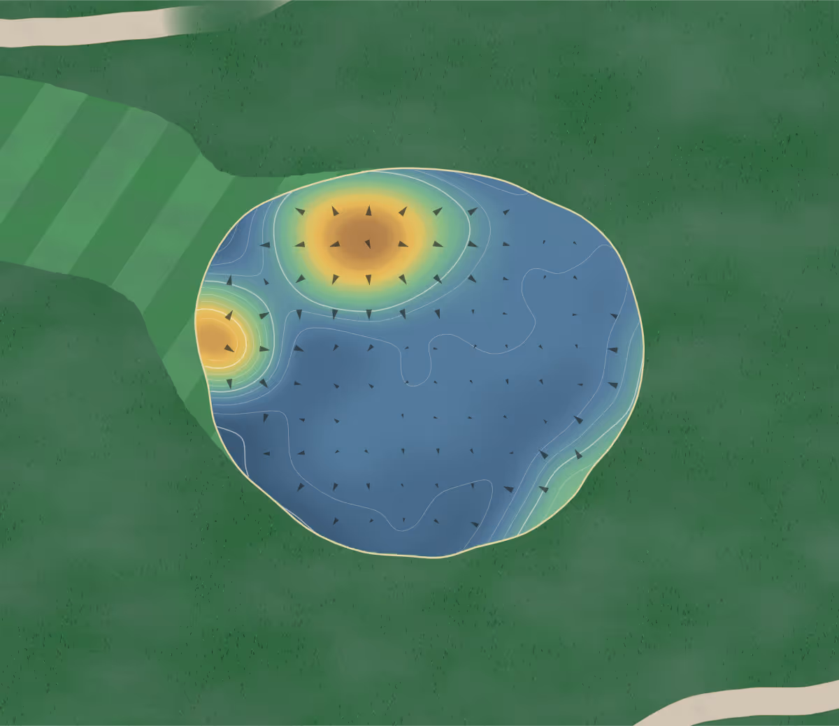 Green contour map of Shawneeki in Sharon, Canada — 170 elevation contours at a 8-centimeter interval with fall-line arrows, traced from 1-meter lidar