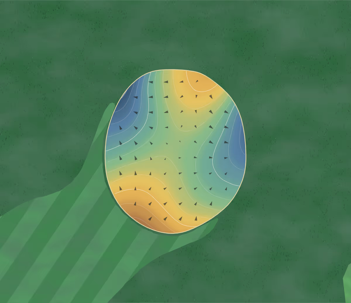Green contour map of Sheaffer Memorial in Fort Madison, Iowa — 163 elevation contours at a 3-inch interval with fall-line arrows, traced from 1-meter lidar