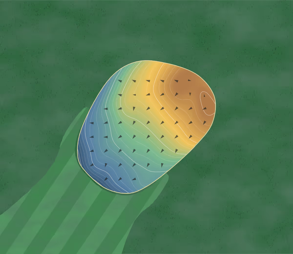 Green contour map of Shelby Park in Nashville, Tennessee: 182 elevation contours at a 3-inch interval with fall-line arrows, traced from 1-meter lidar