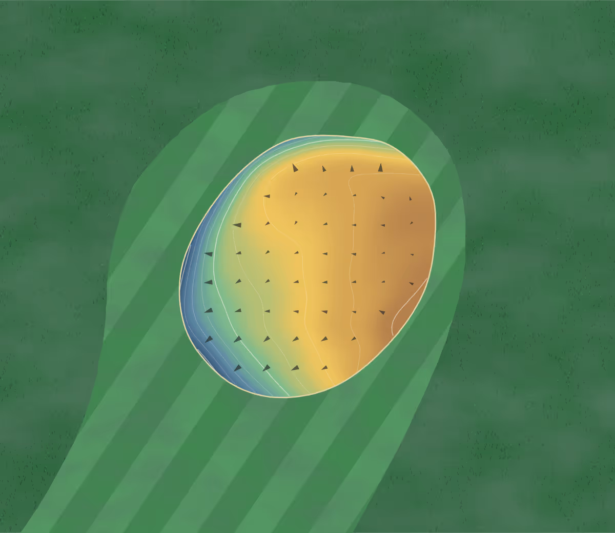 Green contour map of Sheldon in Sheldon, Iowa: 70 elevation contours at a 3-inch interval with fall-line arrows, traced from 1-meter lidar