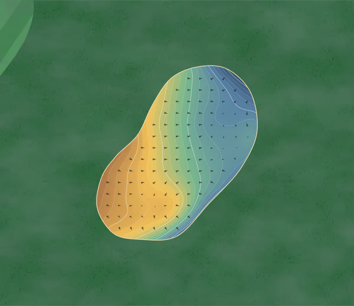 Green contour map of Shendish Manor in Hemel Hempstead, England: 206 elevation contours at a 8-centimeter interval with fall-line arrows, traced from 1-meter lidar