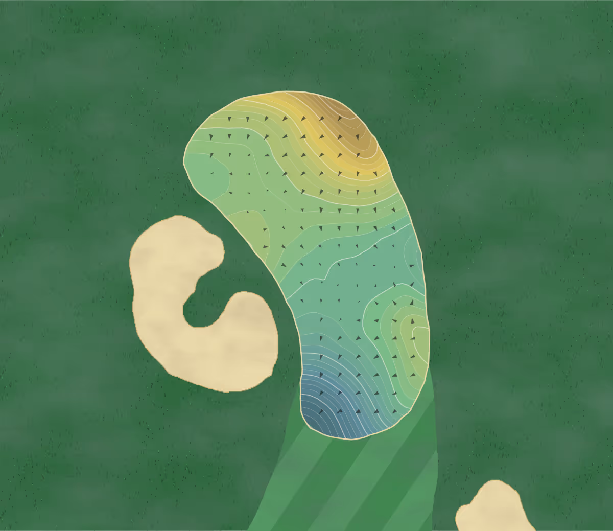 Green contour map of Shepherd's Hollow in Clarkston, Michigan — 311 elevation contours at a 3-inch interval with fall-line arrows, traced from 1-meter lidar
