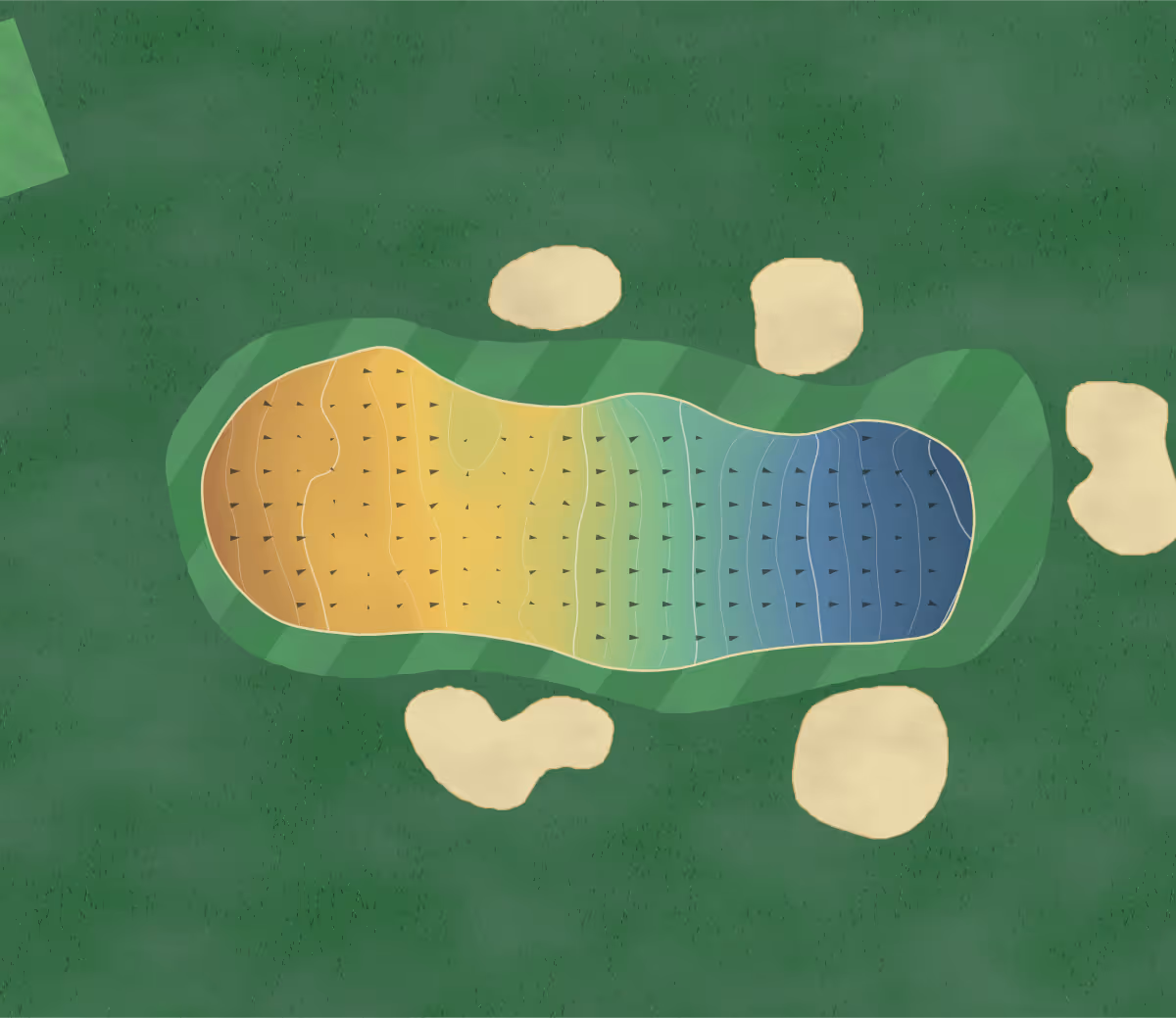 Green contour map of Sherwood Forest in Mansfield, United Kingdom: 159 elevation contours at a 8-centimeter interval with fall-line arrows, traced from 1-meter lidar