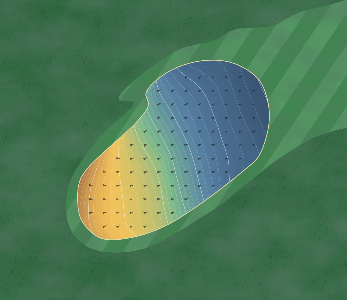 Green contour map of Shibukawa in Shibukawa, Japan: 261 elevation contours at a 8-centimeter interval with fall-line arrows, traced from 1-meter lidar