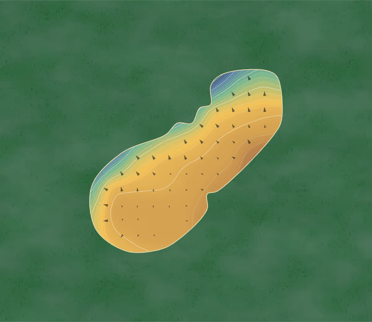 Green contour map of Shishido Hills in Kasama-Shi, Japan: 807 elevation contours at a 8-centimeter interval with fall-line arrows, traced from 1-meter lidar