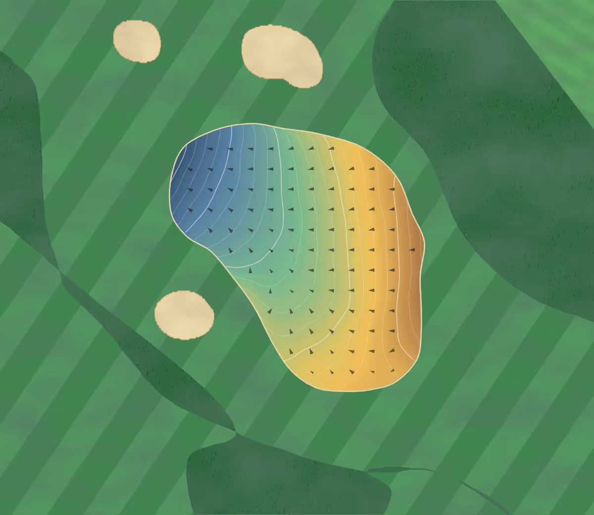 Green contour map of Shiskine in Isle of Arran, Scotland — 111 elevation contours at a 8-centimeter interval with fall-line arrows, traced from 1-meter lidar