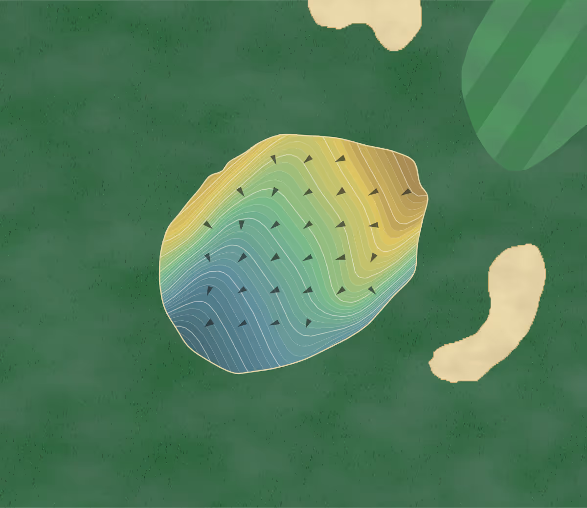 Green contour map of Shorecliffs in San Clemente, California — 176 elevation contours at a 3-inch interval with fall-line arrows, traced from 1-meter lidar
