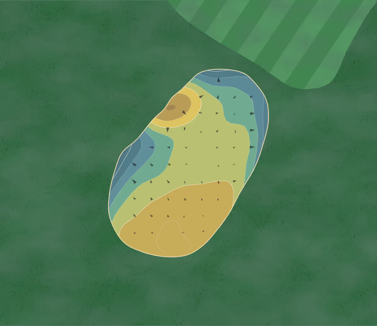 Green contour map of Shores in Saint Augustine Shores, Florida — 111 elevation contours at a 3-inch interval with fall-line arrows, traced from 1-meter lidar