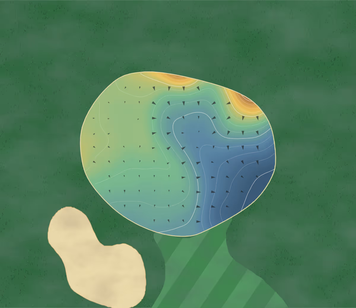 Green contour map of Silver Brooke in Lisle, Canada: 25 elevation contours at a 8-centimeter interval with fall-line arrows, traced from 1-meter lidar