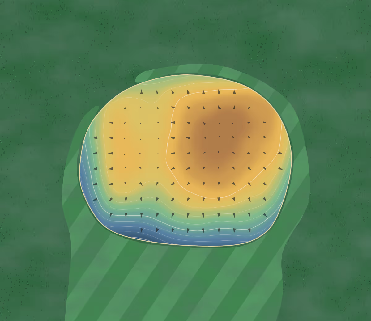 Green contour map of Singing Bridge in Tawas City, Michigan: 155 elevation contours at a 3-inch interval with fall-line arrows, traced from 1-meter lidar