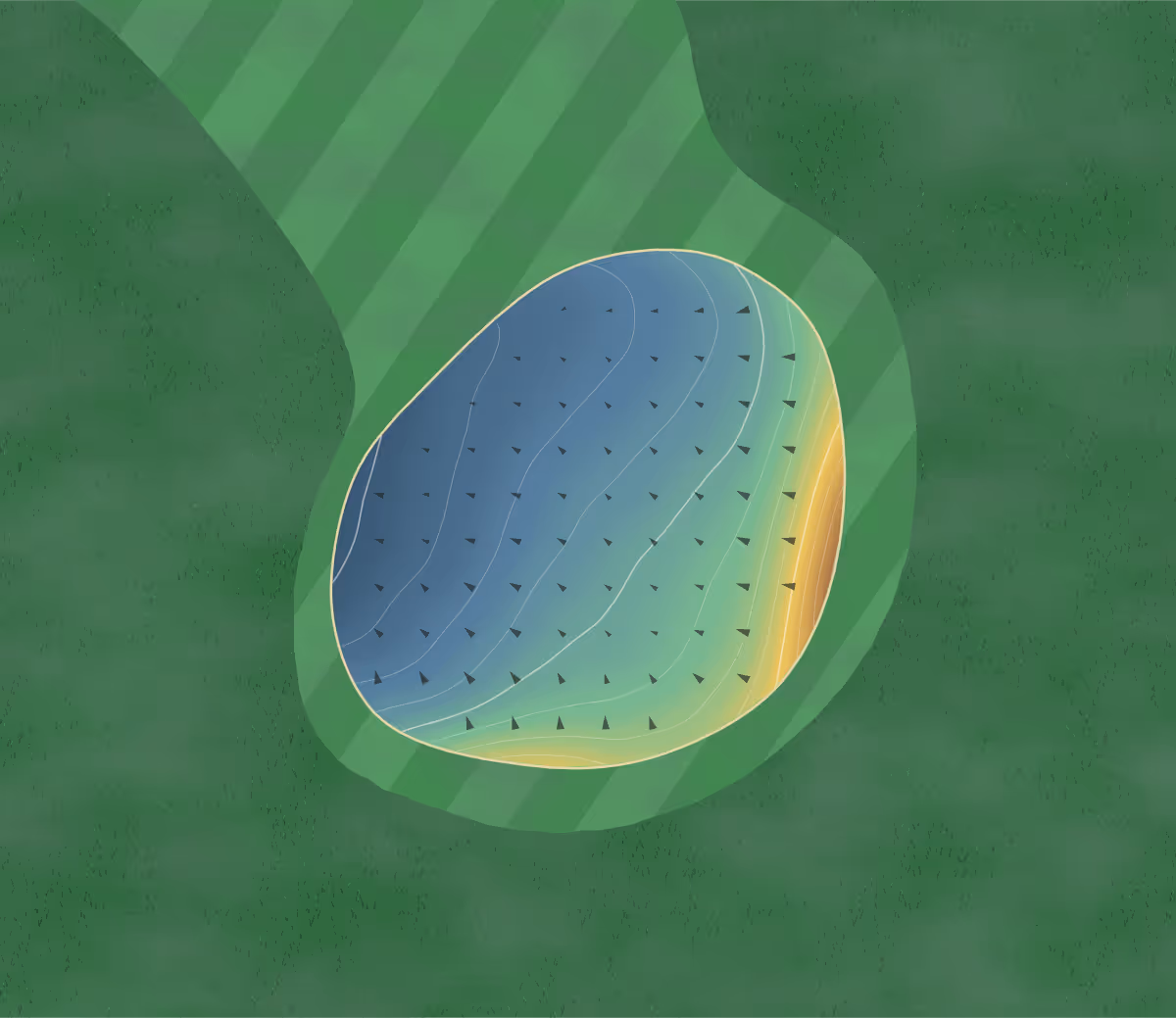 Green contour map of Skylark Meadows in Fareham, United Kingdom — 117 elevation contours at a 8-centimeter interval with fall-line arrows, traced from 1-meter lidar