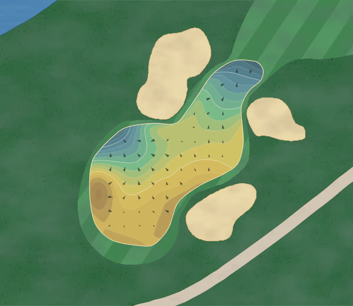 Green contour map of Snee Farm in Mt. Pleasant, South Carolina — 210 elevation contours at a 3-inch interval with fall-line arrows, traced from 1-meter lidar