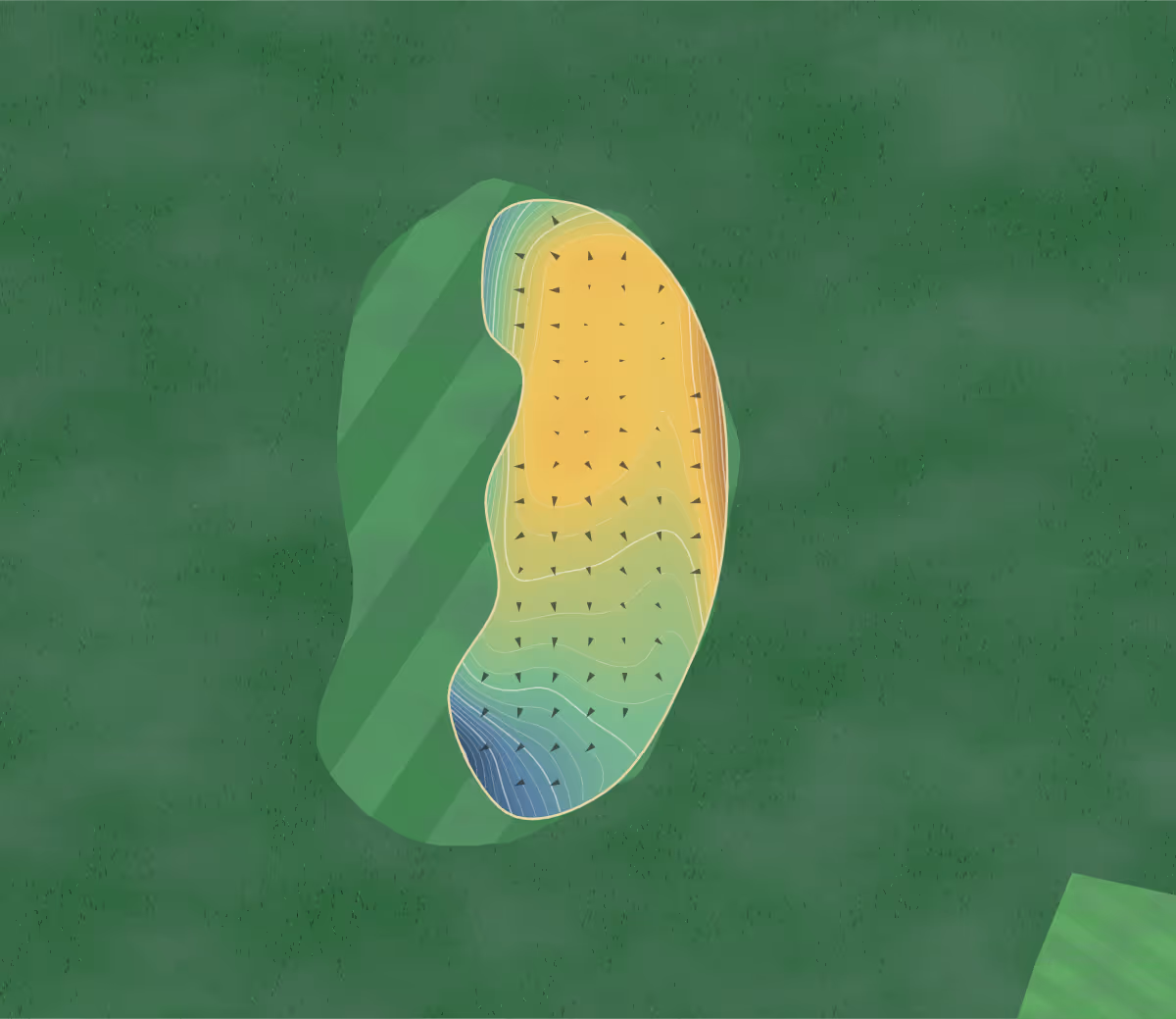 Green contour map of South Petersfield in Petersfield, England: 137 elevation contours at a 8-centimeter interval with fall-line arrows, traced from 1-meter lidar