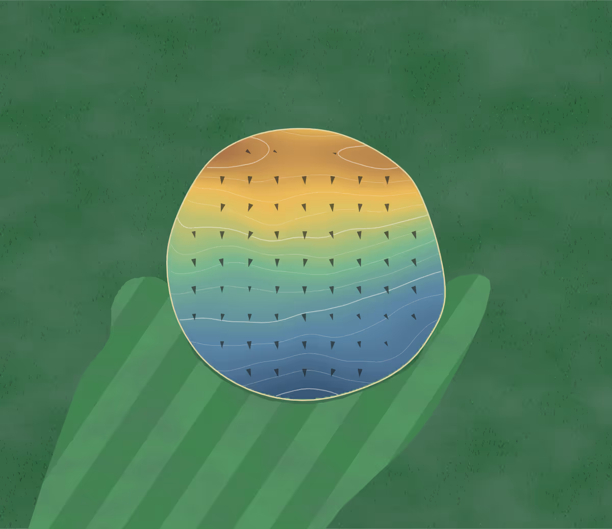 Green contour map of South Ridge in Lincoln, Nebraska: 61 elevation contours at a 3-inch interval with fall-line arrows, traced from 1-meter lidar