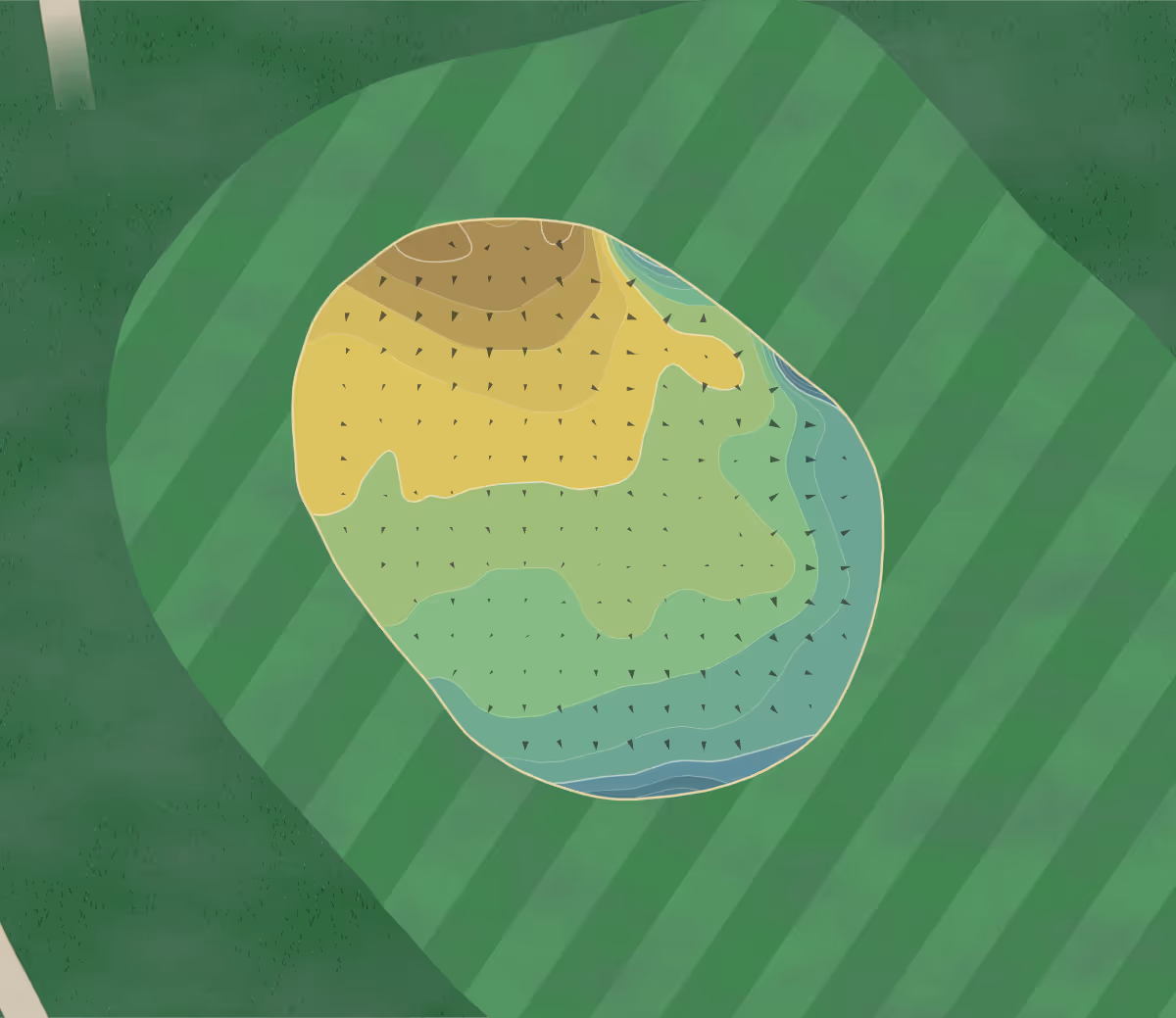 Green contour map of Southerness in Dumfries, Scotland — 149 elevation contours at a 8-centimeter interval with fall-line arrows, traced from 1-meter lidar