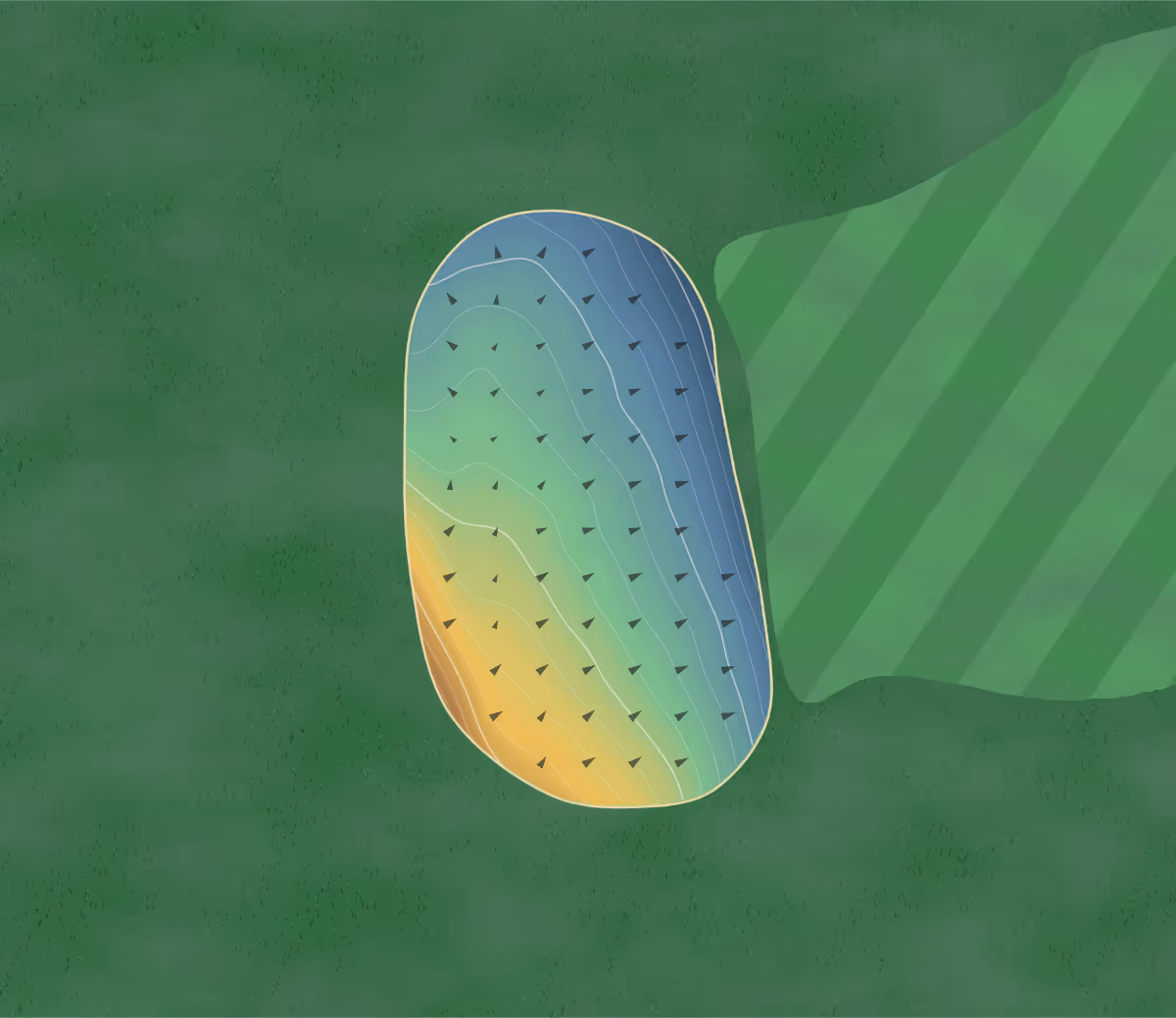 Green contour map of Spencer T Olin in Alton, Illinois: 80 elevation contours at a 3-inch interval with fall-line arrows, traced from 1-meter lidar