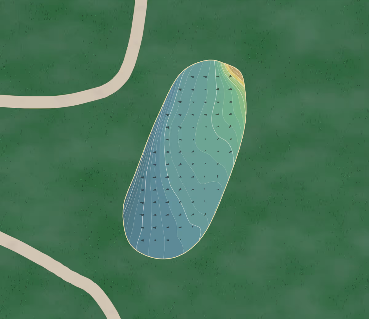 Green contour map of Sprain Lake in Yonkers, New York — 323 elevation contours at a 3-inch interval with fall-line arrows, traced from 1-meter lidar