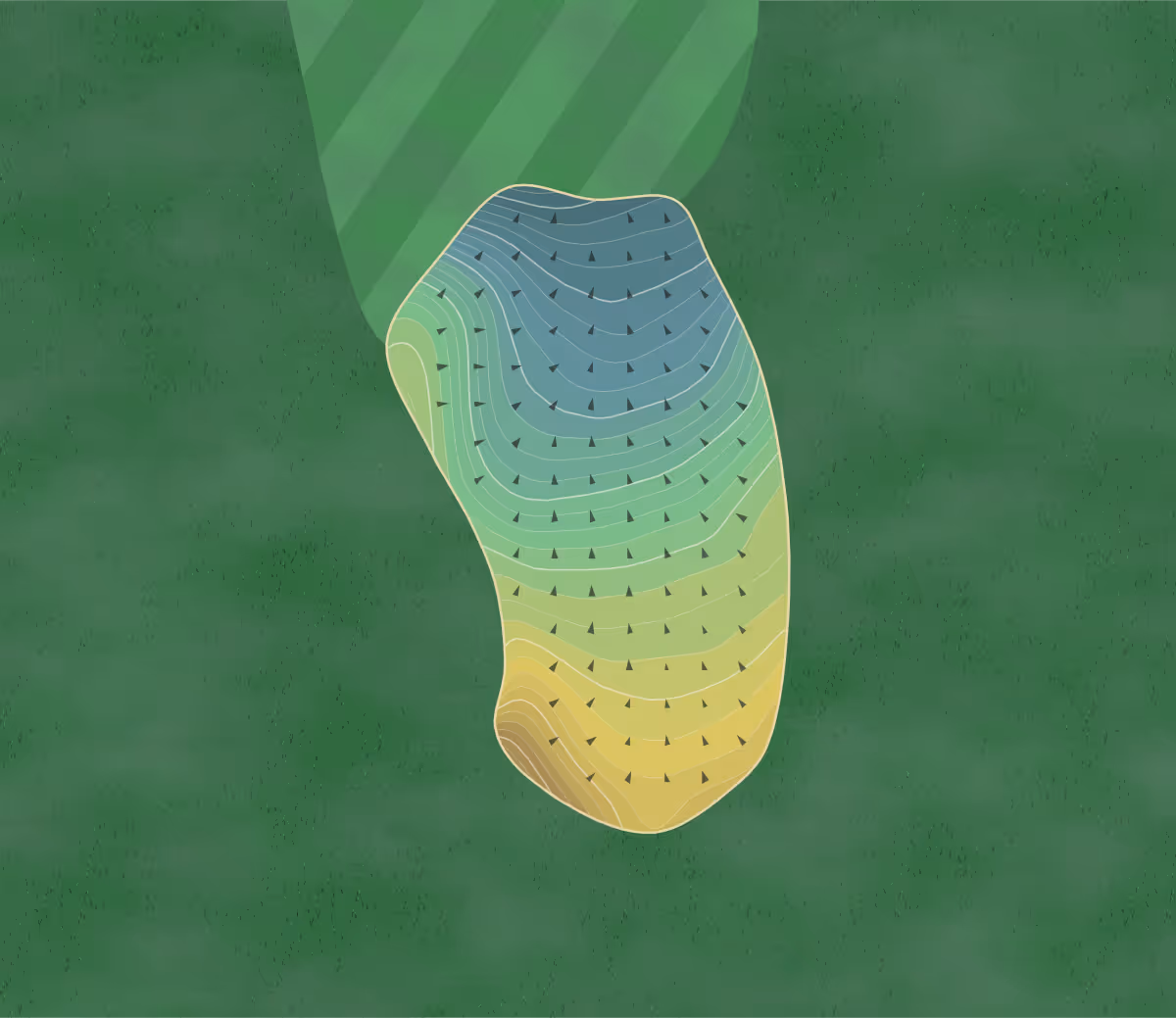 Green contour map of Spring Lake in Spring Lake, Michigan — 207 elevation contours at a 3-inch interval with fall-line arrows, traced from 1-meter lidar