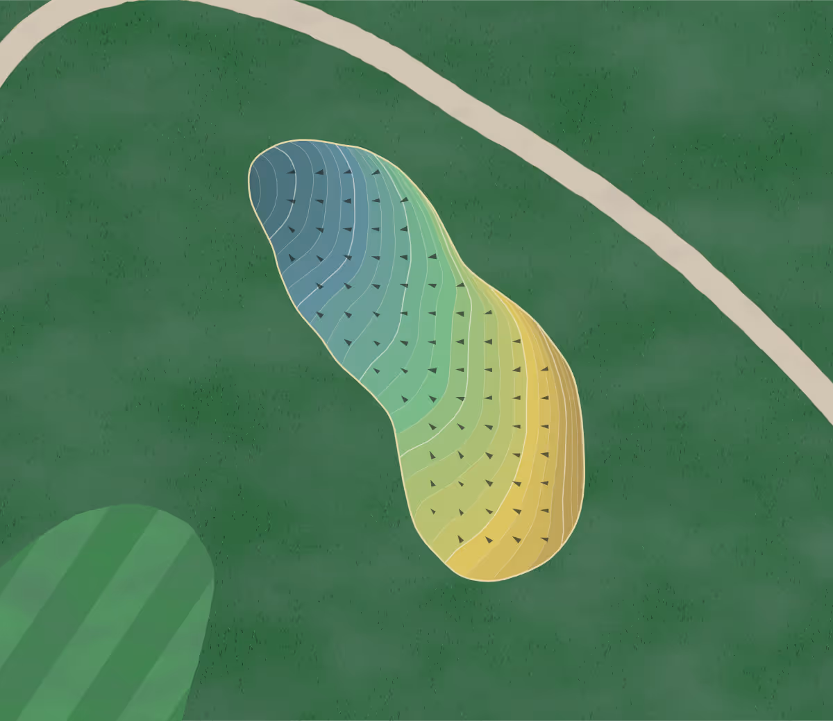 Green contour map of Spring Meadows in Gray, Maine — 241 elevation contours at a 3-inch interval with fall-line arrows, traced from 1-meter lidar
