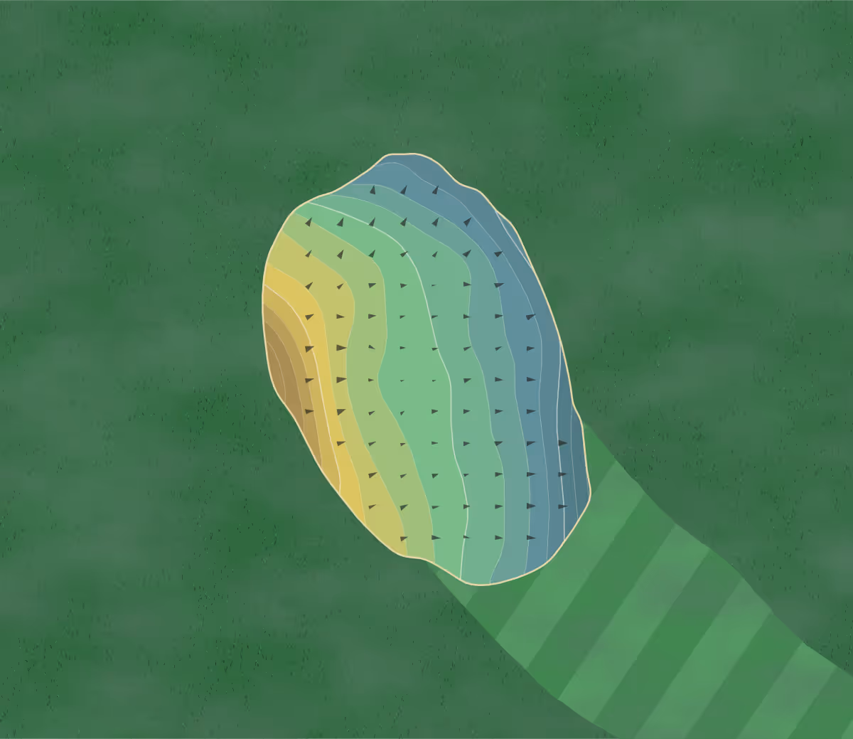 Green contour map of Springbrook Greens in Fair Haven, New York — 183 elevation contours at a 3-inch interval with fall-line arrows, traced from 1-meter lidar