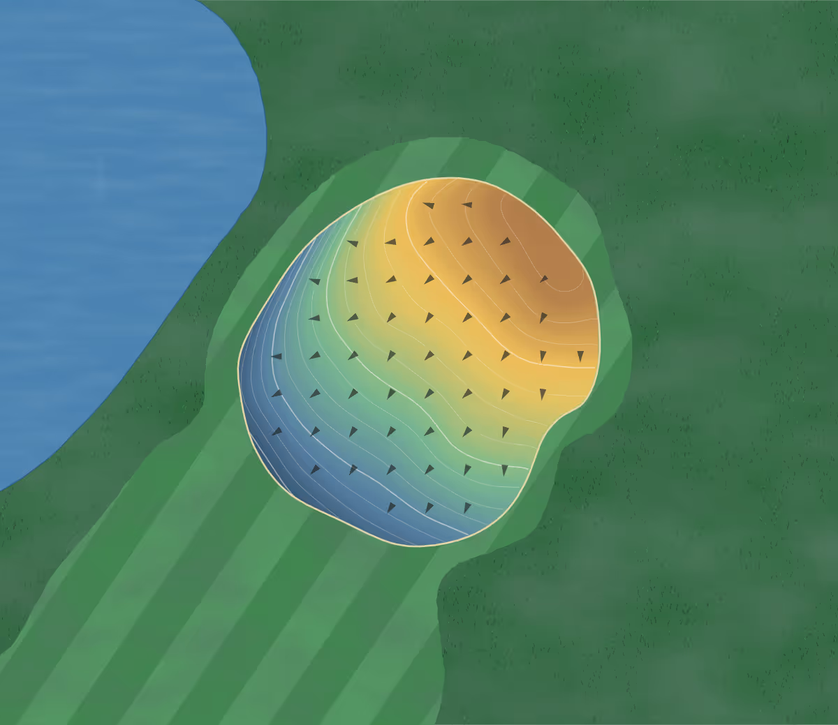 Green contour map of Spruce Ridge in Darien, New York — 81 elevation contours at a 3-inch interval with fall-line arrows, traced from 1-meter lidar