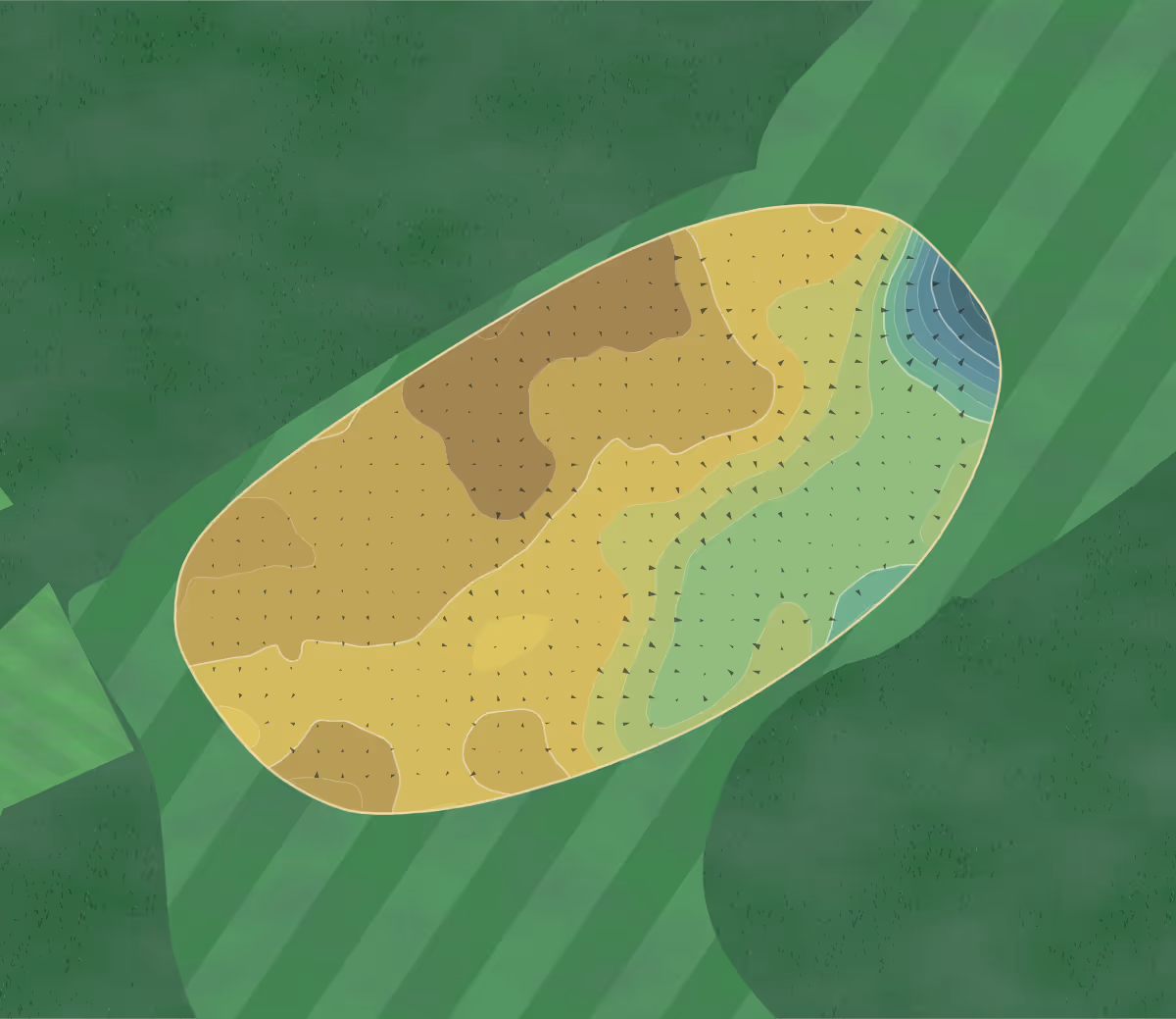 Green contour map of The New Course in St Andrews, Scotland — 212 elevation contours at a 8-centimeter interval with fall-line arrows, traced from 1-meter lidar
