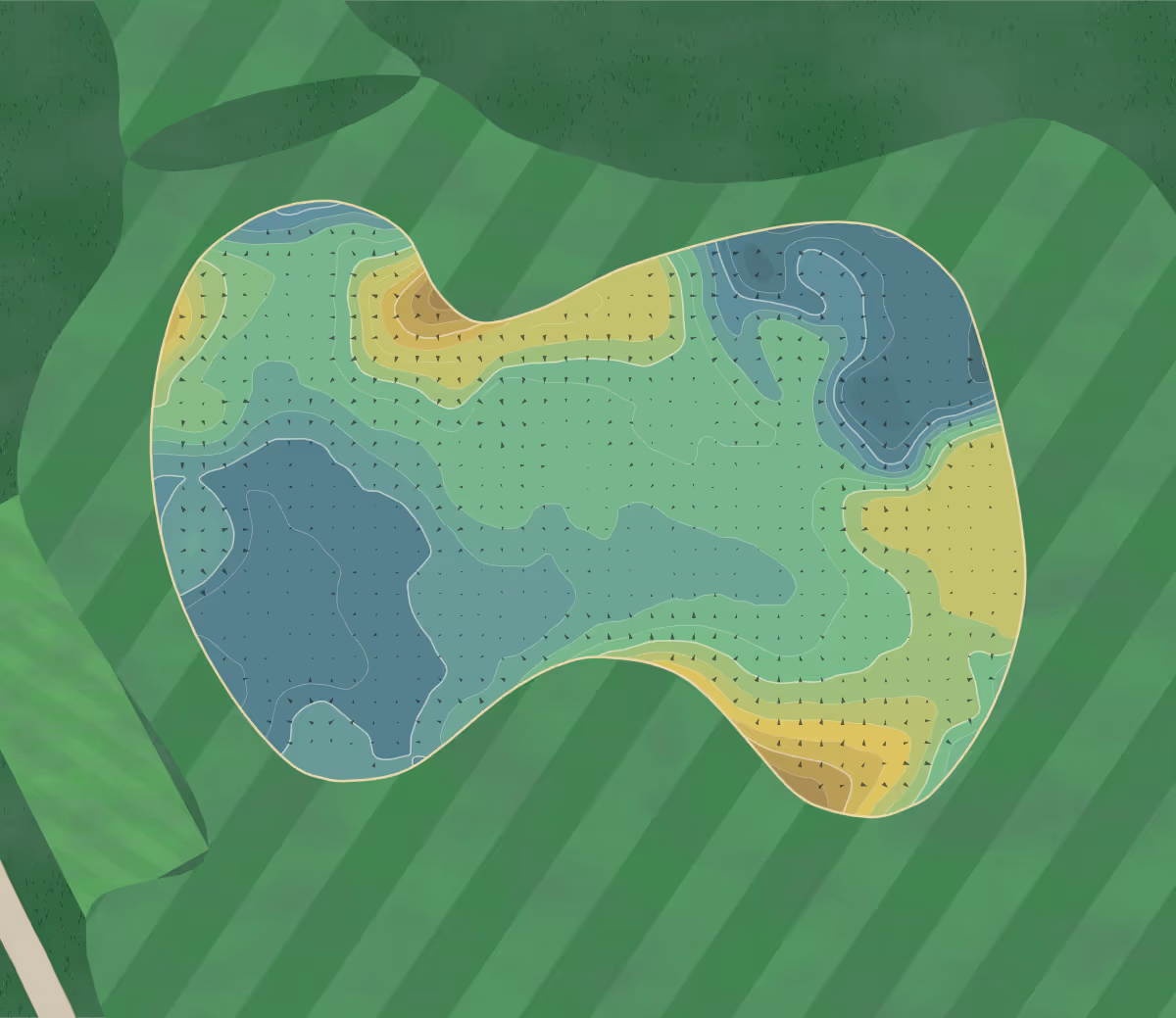 Green contour map of The Old Course in St Andrews, Scotland — 268 elevation contours at a 8-centimeter interval with fall-line arrows, traced from 1-meter lidar