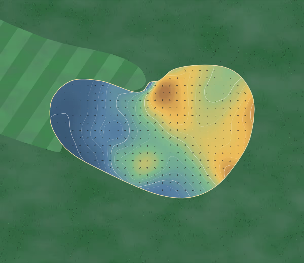 Green contour map of St. Andrews - Strathtyrum in United Kingdom: 136 elevation contours at a 8-centimeter interval with fall-line arrows, traced from 1-meter lidar