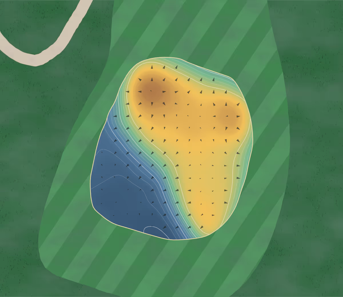 Green contour map of St. Anne's in Indiana, United States — 203 elevation contours at a 3-inch interval with fall-line arrows, traced from 1-meter lidar