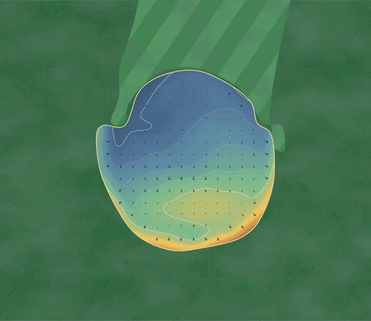 Green contour map of St Brieux Regional in Saint Brieux, Canada: 44 elevation contours at a 8-centimeter interval with fall-line arrows, traced from 1-meter lidar