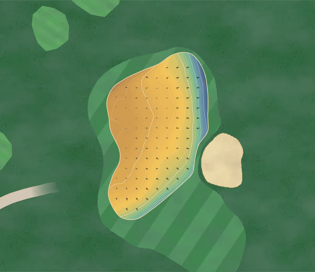 Green contour map of St Clair in Dunedin, New Zealand — 242 elevation contours at a 8-centimeter interval with fall-line arrows, traced from 1-meter lidar