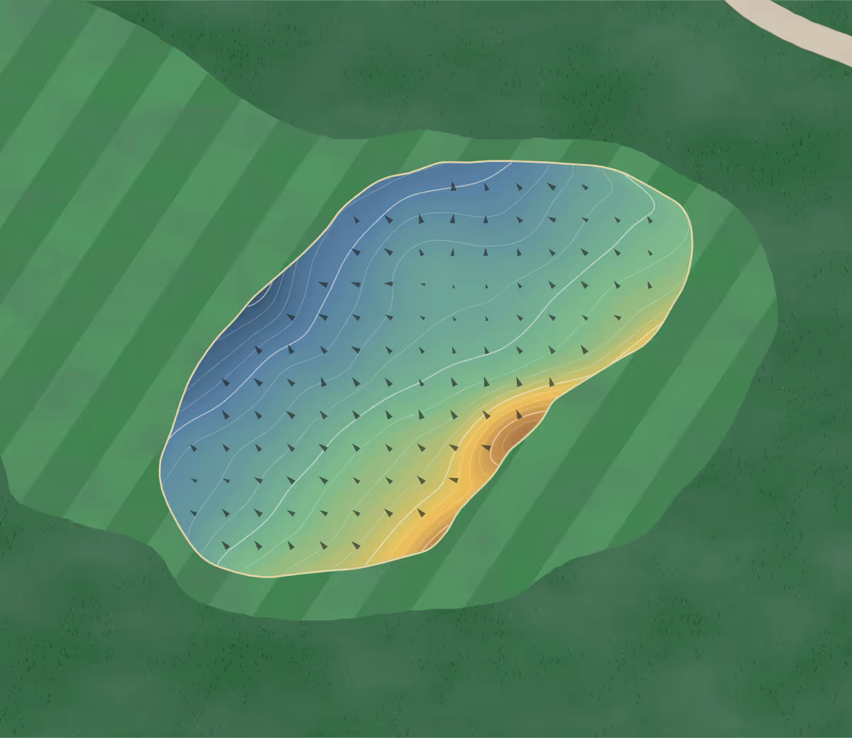 Green contour map of St. David's in Niagara-on-the-Lake, Canada: 86 elevation contours at a 8-centimeter interval with fall-line arrows, traced from 1-meter lidar