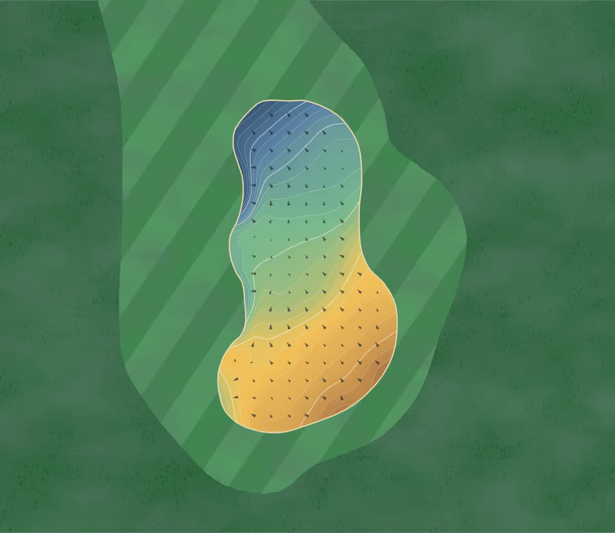 Green contour map of St Enodoc in Wadebridge, England — 203 elevation contours at a 8-centimeter interval with fall-line arrows, traced from 1-meter lidar