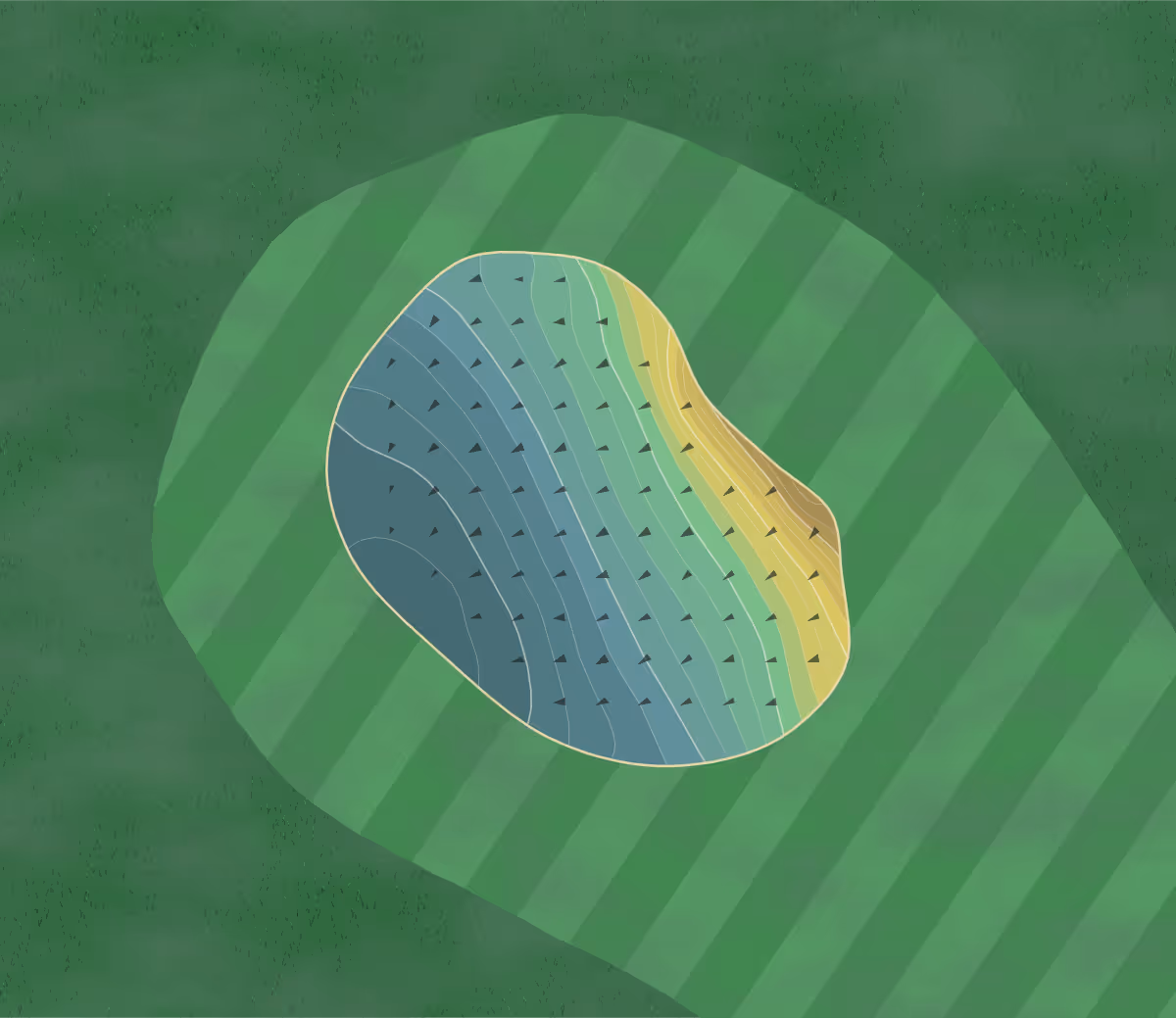 Green contour map of St Medan in Newton Stewart, Scotland — 100 elevation contours at a 8-centimeter interval with fall-line arrows, traced from 1-meter lidar