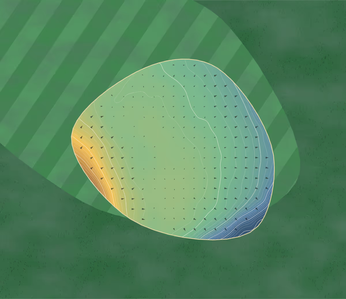 Green contour map of St Pierre Old Course in Chepstow, Wales: 295 elevation contours at a 8-centimeter interval with fall-line arrows, traced from 1-meter lidar