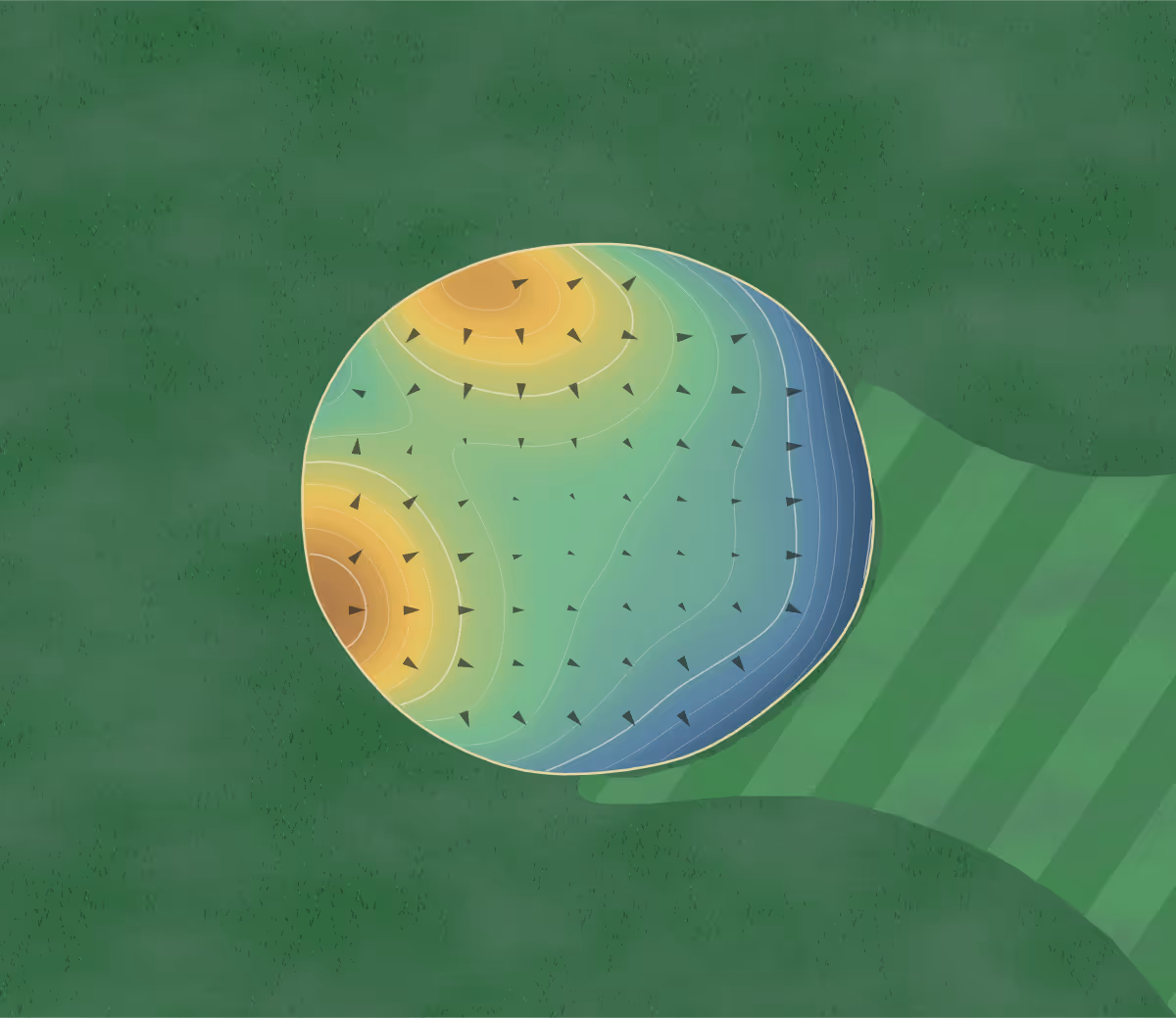 Green contour map of Stagg Hill in Manhattan, Kansas: 156 elevation contours at a 3-inch interval with fall-line arrows, traced from 1-meter lidar
