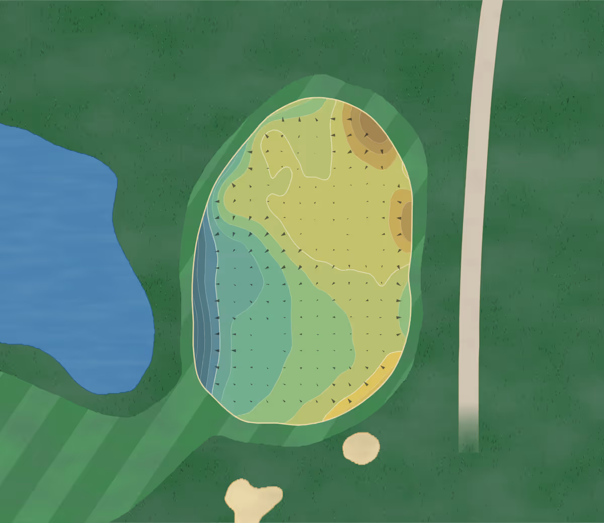 Green contour map of Staverton Park in Daventry, England — 196 elevation contours at a 8-centimeter interval with fall-line arrows, traced from 1-meter lidar