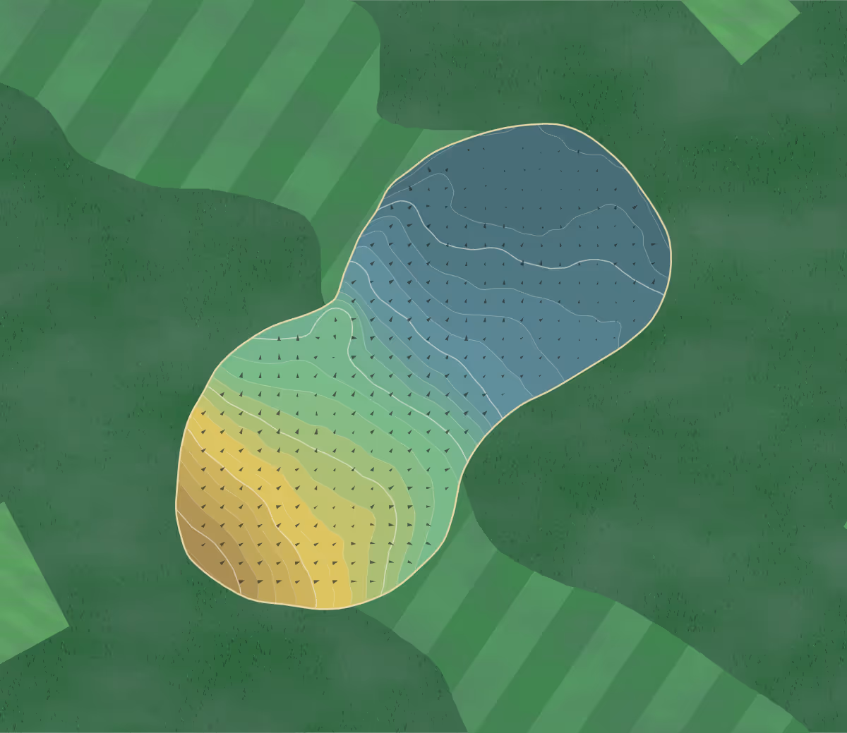 Green contour map of Stirling in Stirling, Scotland — 200 elevation contours at a 8-centimeter interval with fall-line arrows, traced from 1-meter lidar