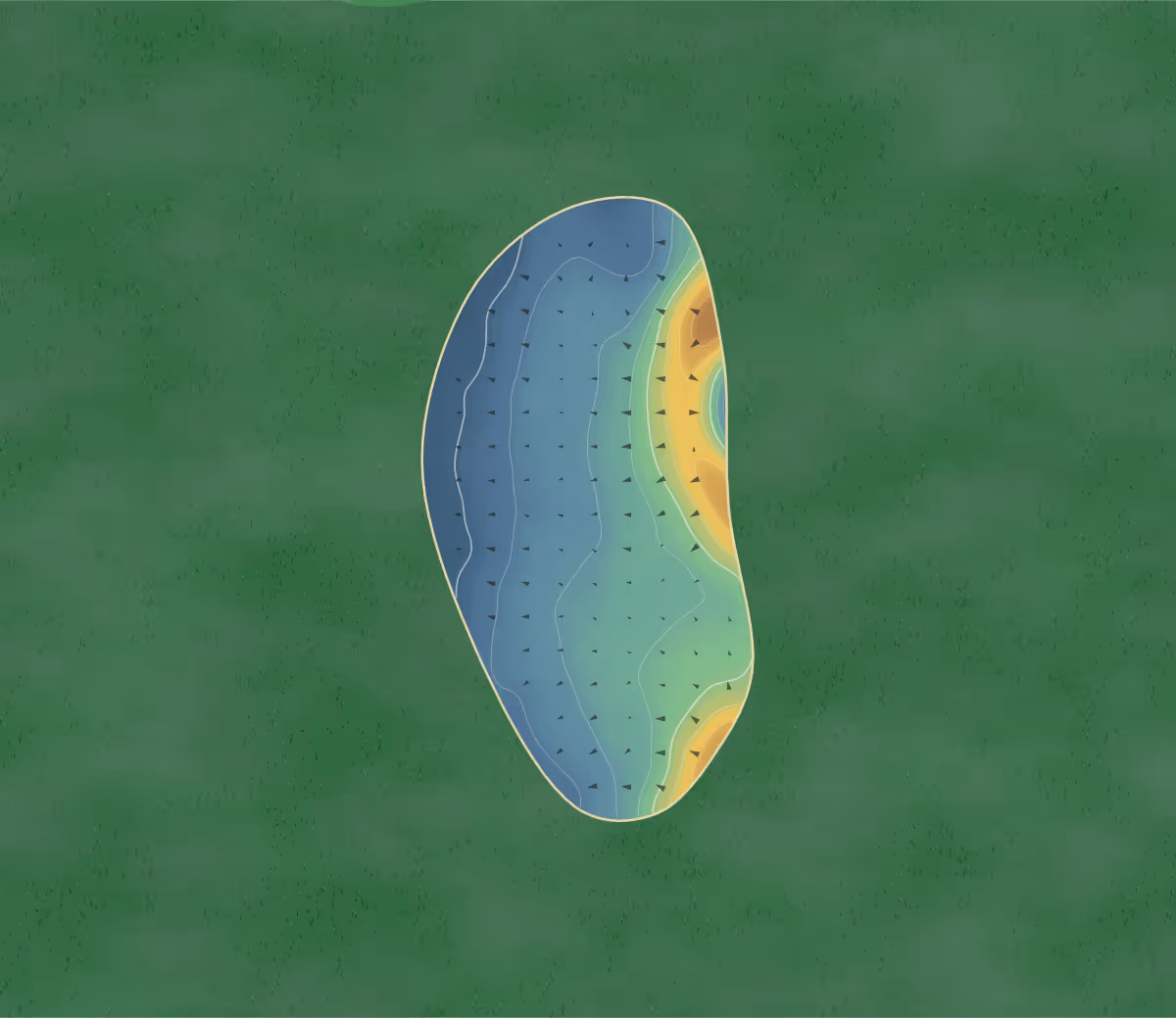 Green contour map of Stockwood Park in Luton, England — 96 elevation contours at a 8-centimeter interval with fall-line arrows, traced from 1-meter lidar