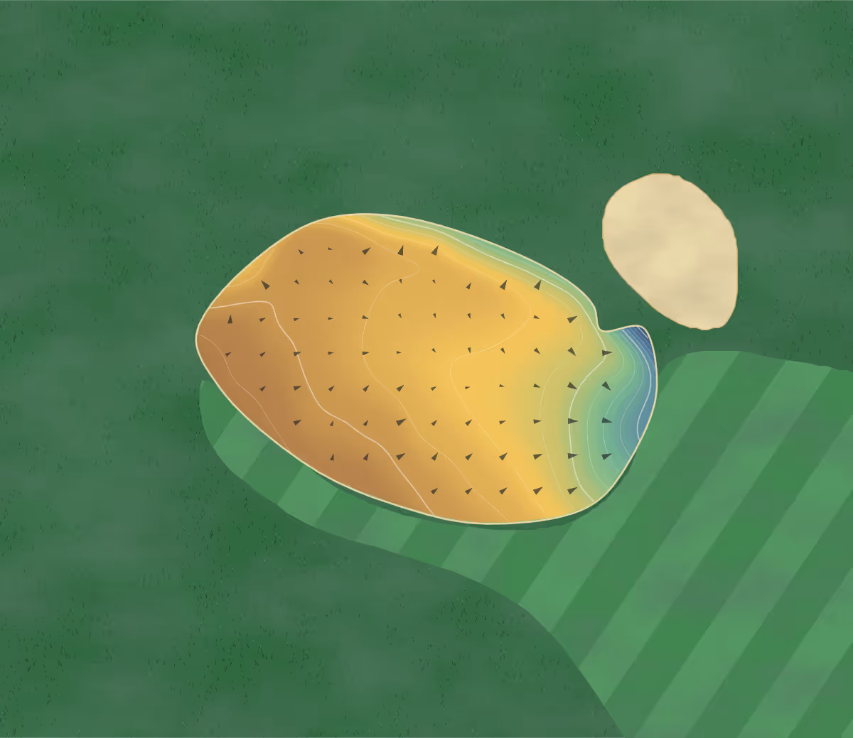 Green contour map of Stone Golf Club in Stone, England: 88 elevation contours at a 8-centimeter interval with fall-line arrows, traced from 1-meter lidar