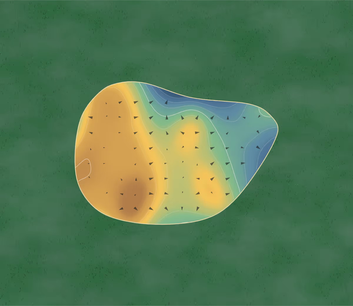 Green contour map of Stone Tree in Brampton, Canada: 116 elevation contours at a 8-centimeter interval with fall-line arrows, traced from 1-meter lidar